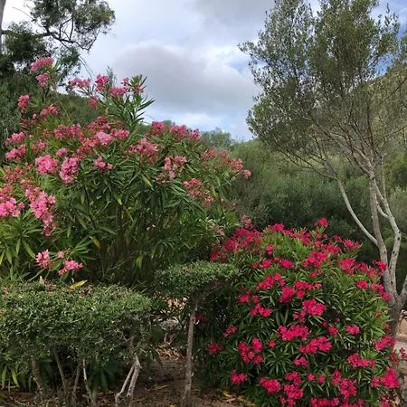 Apartment Bilocale Sardegna Costa Smeralda